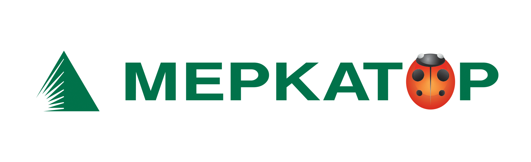 Меркатор Холдинг